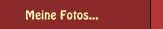 Meine Fotos...